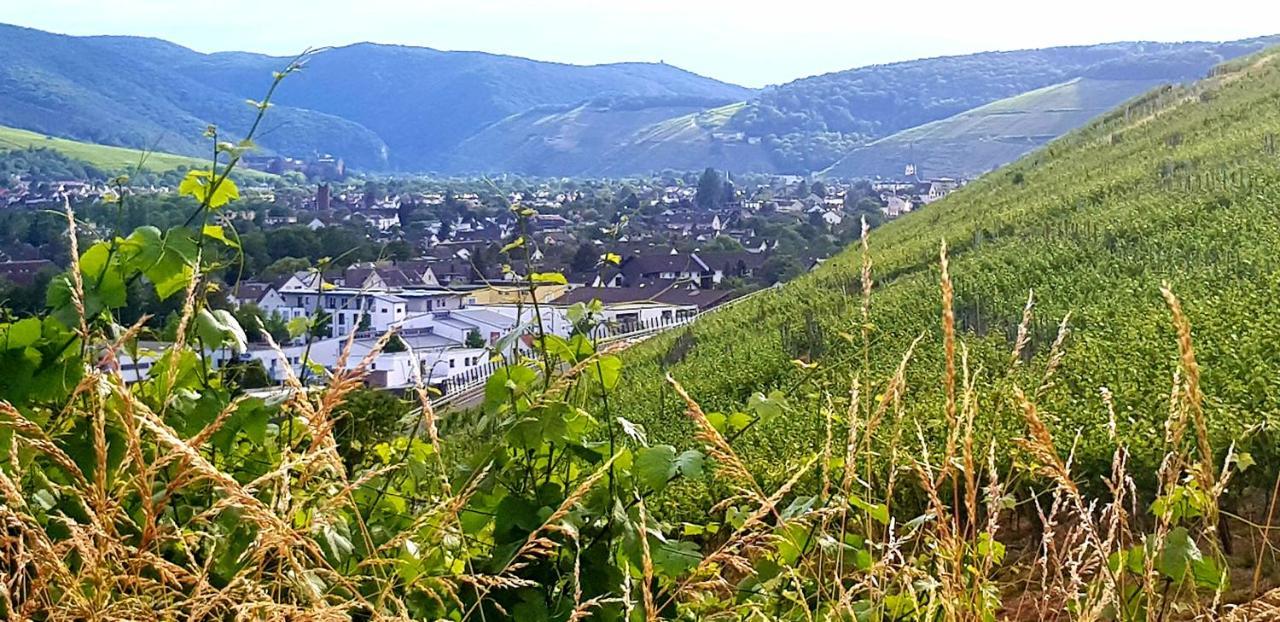 Ahrweiler Seelchen Bad Neuenahr-Ahrweiler Dış mekan fotoğraf