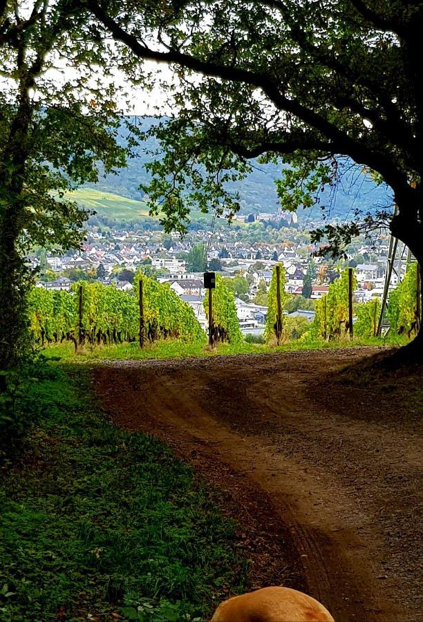 Ahrweiler Seelchen Bad Neuenahr-Ahrweiler Dış mekan fotoğraf